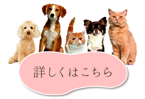 ペット供養のディアペット