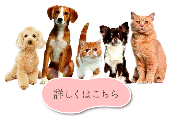 ペット供養のディアペット